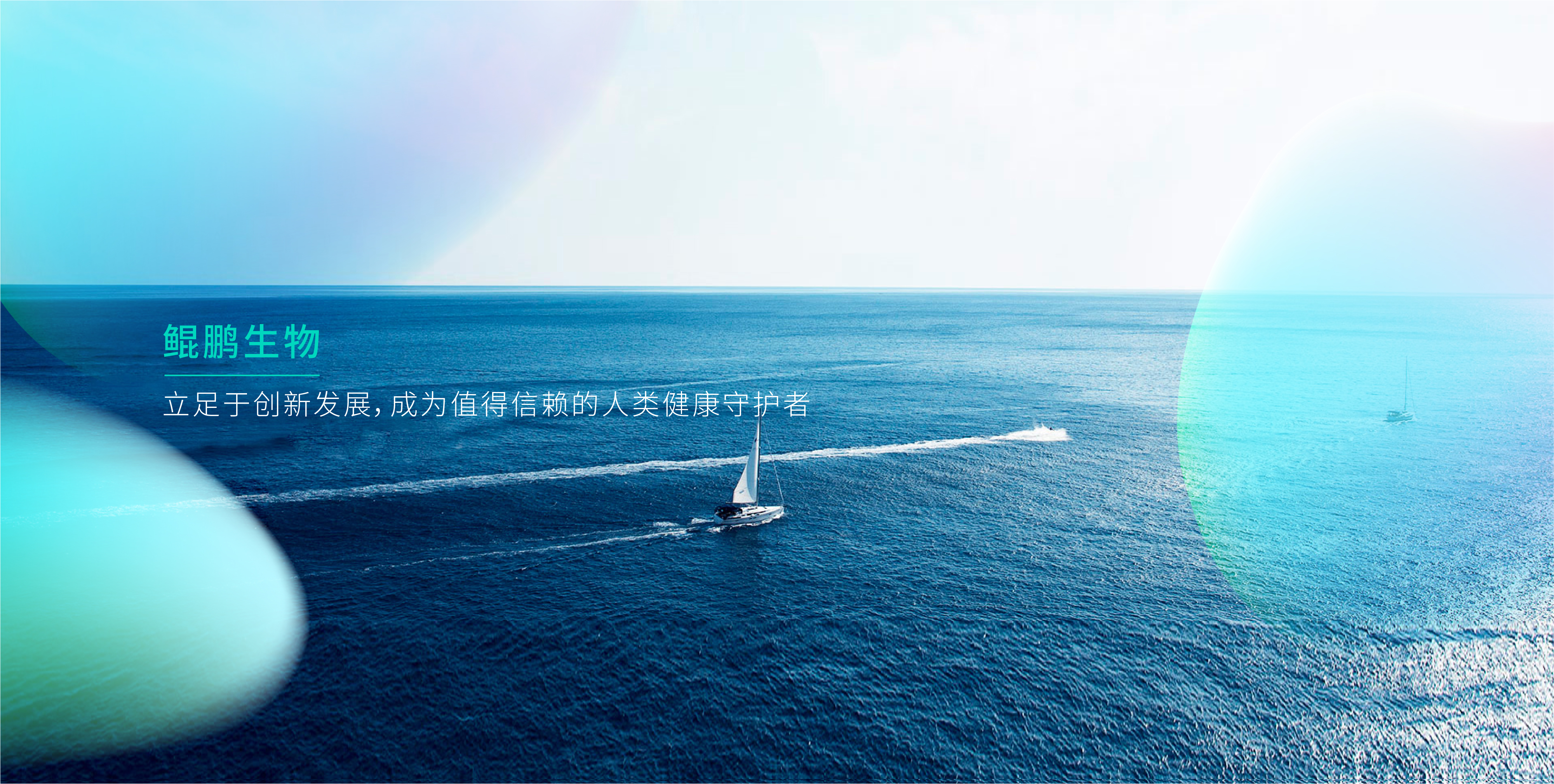 鲲鹏生物_鲲鹏生物