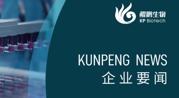 鲲鹏生物胰岛素注射液试生产顺利完成 开启生物制药新里程