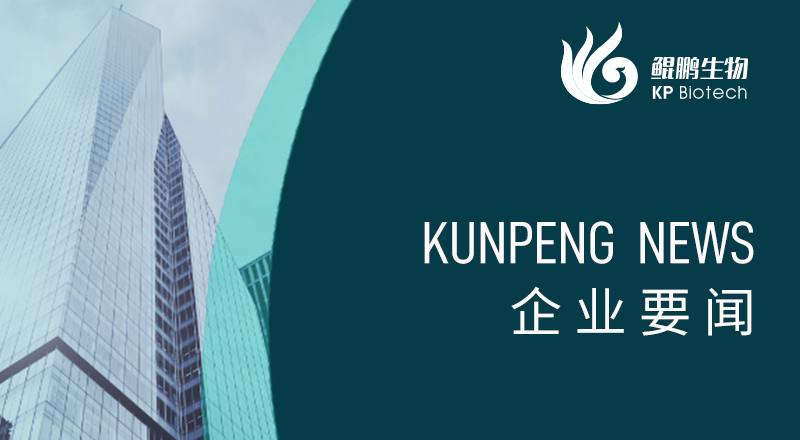 科技引领 “兔”显创新——宁波鲲鹏荣获“高新技术企业”及“创新型中小企业”认定
